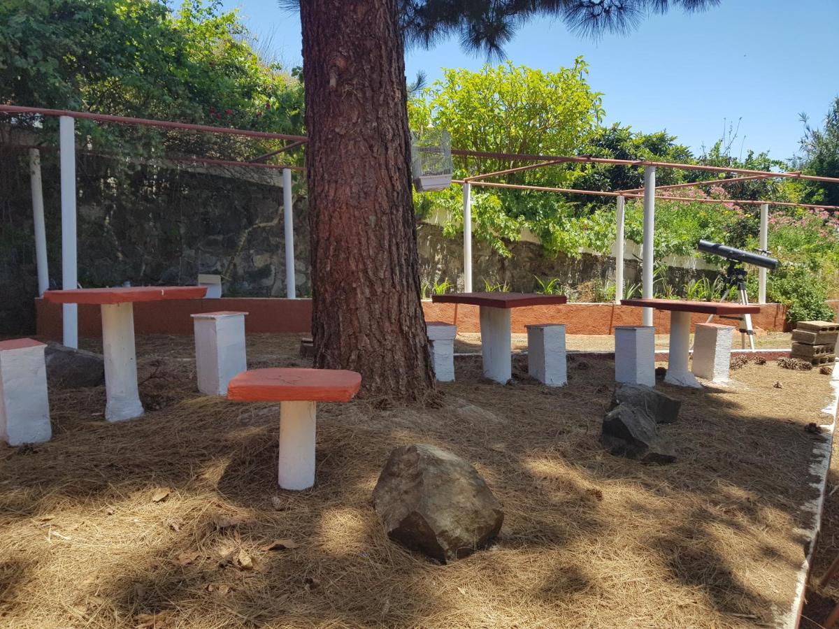 קוסטה קלמה Finca Rural Torres 2 Bed And Breakfast מראה חיצוני תמונה