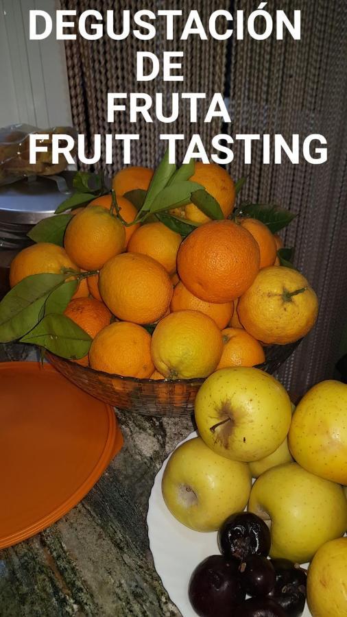 קוסטה קלמה Finca Rural Torres 2 Bed And Breakfast מראה חיצוני תמונה